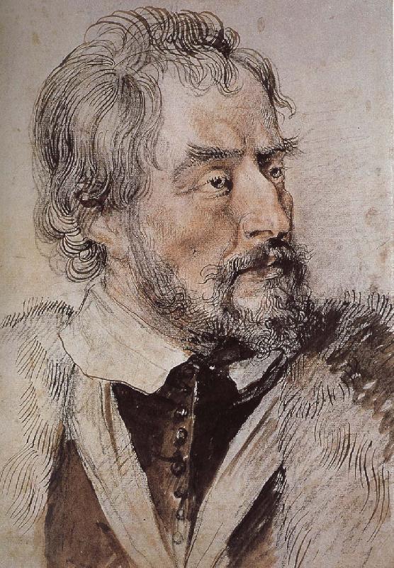 Peter Paul Rubens Portrait of thomas Germany oil painting art